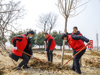 Volunteers are taking part in a tree planting activity in Lianyungang, China, on March 11, 2024. (