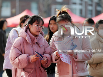 Female college students are looking for jobs at the 2024 Women's Campus job fair in Huaibei, Anhui province, China, on March 12, 2024. (