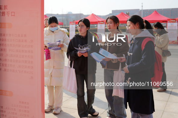 Female college students are looking for jobs at the 2024 Women's Campus job fair in Huaibei, Anhui province, China, on March 12, 2024. 