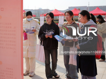 Female college students are looking for jobs at the 2024 Women's Campus job fair in Huaibei, Anhui province, China, on March 12, 2024. (