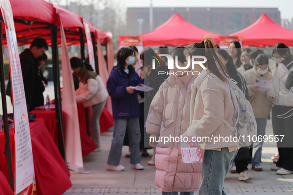 Female college students are looking for jobs at the 2024 Women's Campus job fair in Huaibei, Anhui province, China, on March 12, 2024. 