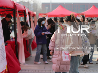 Female college students are looking for jobs at the 2024 Women's Campus job fair in Huaibei, Anhui province, China, on March 12, 2024. (