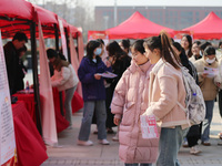 Female college students are looking for jobs at the 2024 Women's Campus job fair in Huaibei, Anhui province, China, on March 12, 2024. (