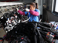 A worker is producing automotive wiring harness products at a workshop of an auto parts manufacturer in Binzhou, Shandong Province, China, o...