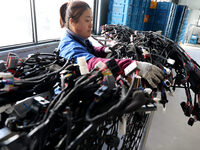 A worker is producing automotive wiring harness products at a workshop of an auto parts manufacturer in Binzhou, Shandong Province, China, o...