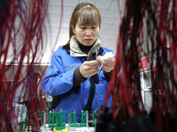 A worker is producing automotive wiring harness products at a workshop of an auto parts manufacturer in Binzhou, Shandong Province, China, o...