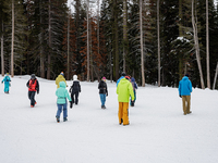 Andy Anderson, an Avalanche Forecaster with the Sierra Avalanche Center, is leading an avalanche transceiver workshop at Sugar Bowl Resort i...