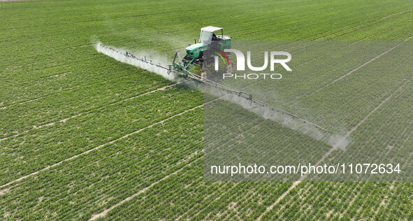 A farmer is driving a machine to spray a field in Zouping, China, on March 13, 2024. 