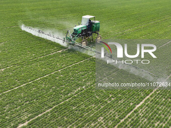 A farmer is driving a machine to spray a field in Zouping, China, on March 13, 2024. (