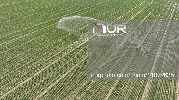 A farmer is driving a machine to spray a field in Zouping, China, on March 13, 2024. 