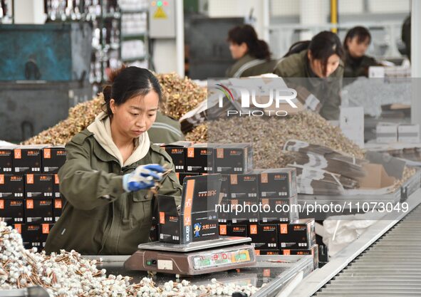 Workers are producing drill tail wire products for export overseas in a digital intelligent production workshop at a hardware manufacturing...