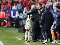 Vinicius Junior left winger of Real Madrid and Brazil  and Carlo Ancelotti head coach of Real Madrid greets each other during the LaLiga EA...