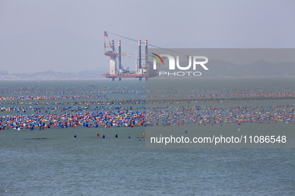 The Nanao Island Ocean Ranch is operating in Shantou, Guangdong province, China, on March 11, 2024. 