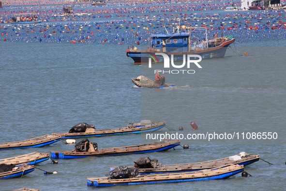 The Nanao Island Ocean Ranch is operating in Shantou, Guangdong province, China, on March 11, 2024. 