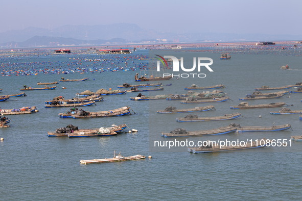 The Nanao Island Ocean Ranch is operating in Shantou, Guangdong province, China, on March 11, 2024. 