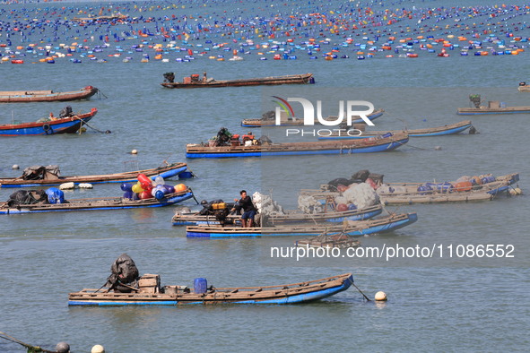 The Nanao Island Ocean Ranch is operating in Shantou, Guangdong province, China, on March 11, 2024. 