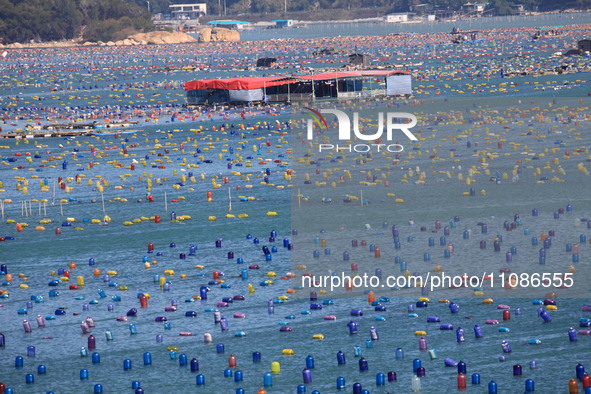 The Nanao Island Ocean Ranch is operating in Shantou, Guangdong province, China, on March 11, 2024. 