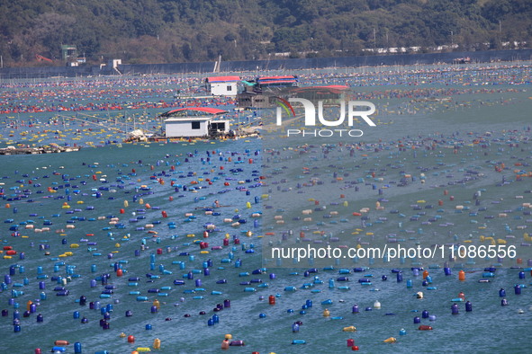 The Nanao Island Ocean Ranch is operating in Shantou, Guangdong province, China, on March 11, 2024. 