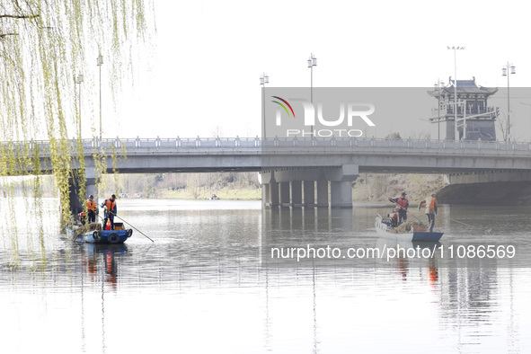 Cleaners are cleaning garbage on the Bian River to mark the upcoming World Water Day in Suqian, Jiangsu Province, China, on March 20, 2024. 