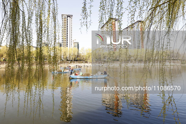 Cleaners are cleaning garbage on the Bian River to mark the upcoming World Water Day in Suqian, Jiangsu Province, China, on March 20, 2024. 