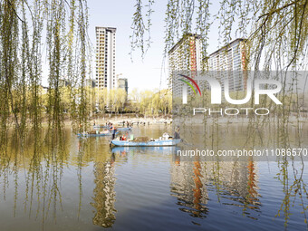 Cleaners are cleaning garbage on the Bian River to mark the upcoming World Water Day in Suqian, Jiangsu Province, China, on March 20, 2024....