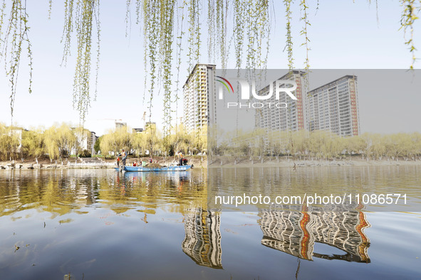 Cleaners are cleaning garbage on the Bian River to mark the upcoming World Water Day in Suqian, Jiangsu Province, China, on March 20, 2024. 