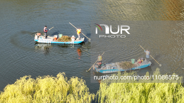 Cleaners are cleaning garbage on the Bian River to mark the upcoming World Water Day in Suqian, Jiangsu Province, China, on March 20, 2024. 