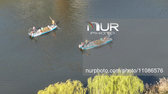 Cleaners are cleaning garbage on the Bian River to mark the upcoming World Water Day in Suqian, Jiangsu Province, China, on March 20, 2024. 