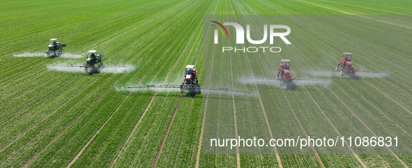 Farmers are spraying on a family ecological farm in Zouping, Shandong Province, China, on March 20, 2024. 