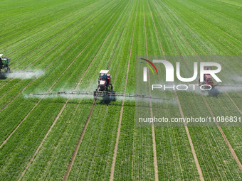 Farmers are spraying on a family ecological farm in Zouping, Shandong Province, China, on March 20, 2024. (