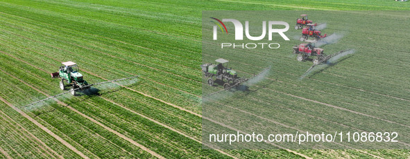 Farmers are spraying on a family ecological farm in Zouping, Shandong Province, China, on March 20, 2024. 