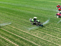 Farmers are spraying on a family ecological farm in Zouping, Shandong Province, China, on March 20, 2024. (