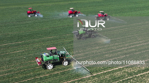 Farmers are spraying on a family ecological farm in Zouping, Shandong Province, China, on March 20, 2024. 