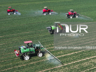 Farmers are spraying on a family ecological farm in Zouping, Shandong Province, China, on March 20, 2024. (