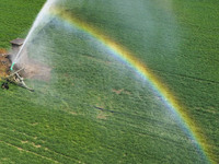 Farmers are carrying out water-saving irrigation in their fields in Zouping, Shandong Province, China, on March 20, 2024. (