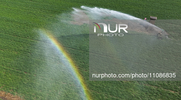 Farmers are carrying out water-saving irrigation in their fields in Zouping, Shandong Province, China, on March 20, 2024. 