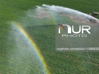 Farmers are carrying out water-saving irrigation in their fields in Zouping, Shandong Province, China, on March 20, 2024. (