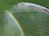 Farmers are carrying out water-saving irrigation in their fields in Zouping, Shandong Province, China, on March 20, 2024. (