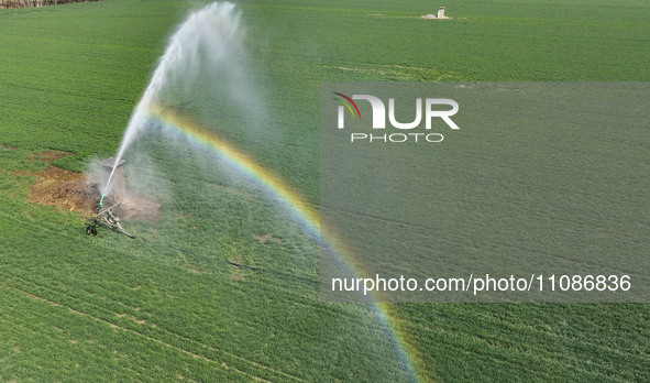 Farmers are carrying out water-saving irrigation in their fields in Zouping, Shandong Province, China, on March 20, 2024. 