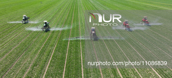 Farmers are spraying on a family ecological farm in Zouping, Shandong Province, China, on March 20, 2024. 