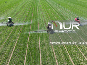 Farmers are spraying on a family ecological farm in Zouping, Shandong Province, China, on March 20, 2024. (