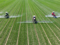 Farmers are spraying on a family ecological farm in Zouping, Shandong Province, China, on March 20, 2024. (