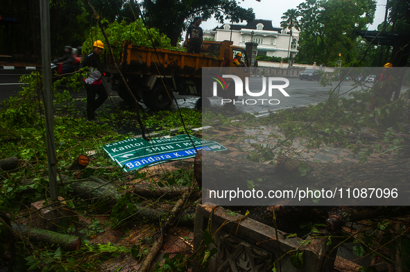 Officers are cutting trees that have fallen due to extreme weather in Medan City, North Sumatra, Indonesia, on March 20, 2024. The Meteorolo...