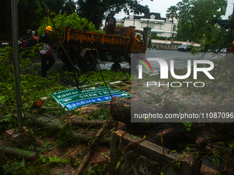 Officers are cutting trees that have fallen due to extreme weather in Medan City, North Sumatra, Indonesia, on March 20, 2024. The Meteorolo...