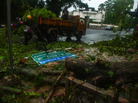 Officers are cutting trees that have fallen due to extreme weather in Medan City, North Sumatra, Indonesia, on March 20, 2024. The Meteorolo...