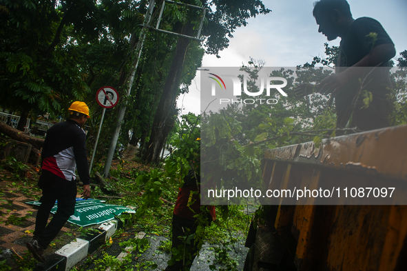 Officers are cutting trees that have fallen due to extreme weather in Medan City, North Sumatra, Indonesia, on March 20, 2024. The Meteorolo...