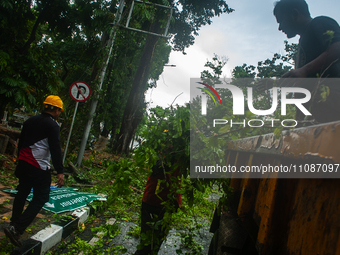 Officers are cutting trees that have fallen due to extreme weather in Medan City, North Sumatra, Indonesia, on March 20, 2024. The Meteorolo...