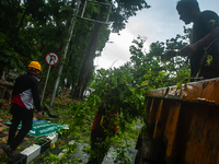 Officers are cutting trees that have fallen due to extreme weather in Medan City, North Sumatra, Indonesia, on March 20, 2024. The Meteorolo...