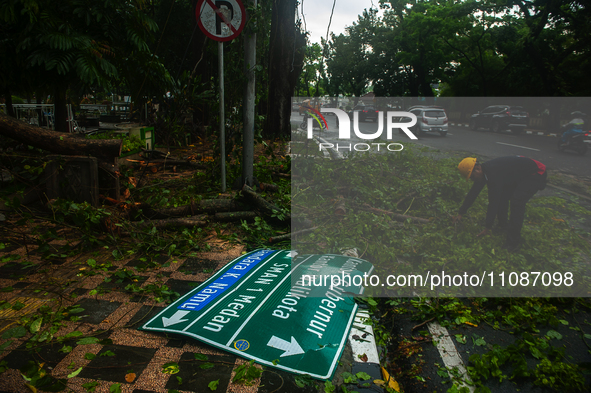 Officers are cutting trees that have fallen due to extreme weather in Medan City, North Sumatra, Indonesia, on March 20, 2024. The Meteorolo...