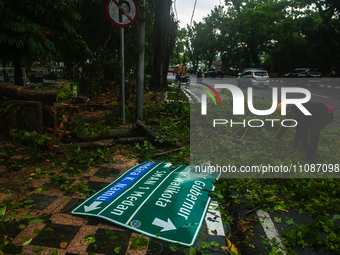 Officers are cutting trees that have fallen due to extreme weather in Medan City, North Sumatra, Indonesia, on March 20, 2024. The Meteorolo...